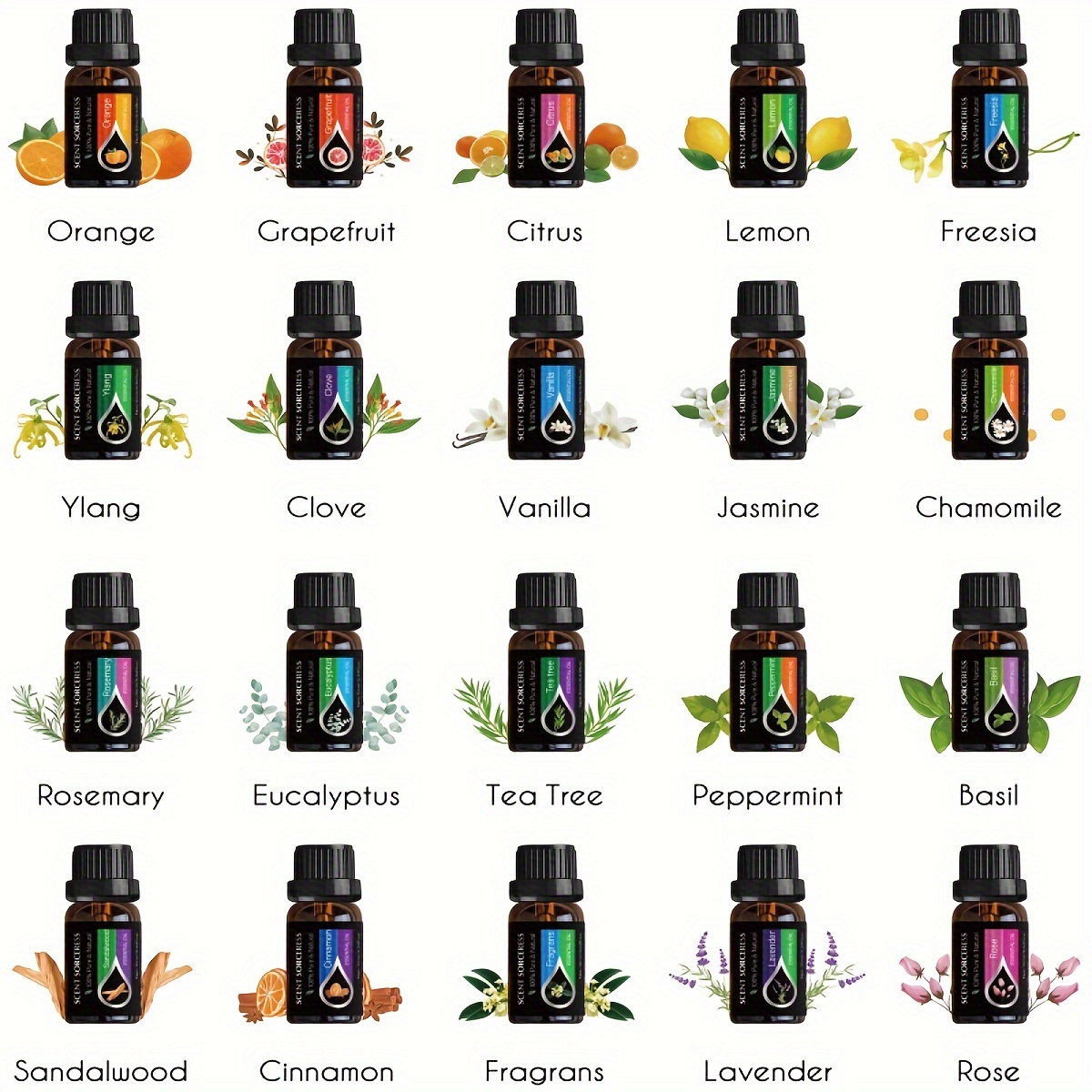 20pcs/set Black Classic Essent - Spa Y Wellness review and price